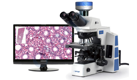 soptop舜宇RX50研究級生物顯微鏡
